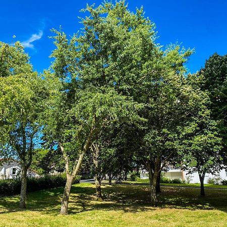 T3 Moderne Avec Balcon Terrasse Et Parking Gratuit Daire Niort Dış mekan fotoğraf
