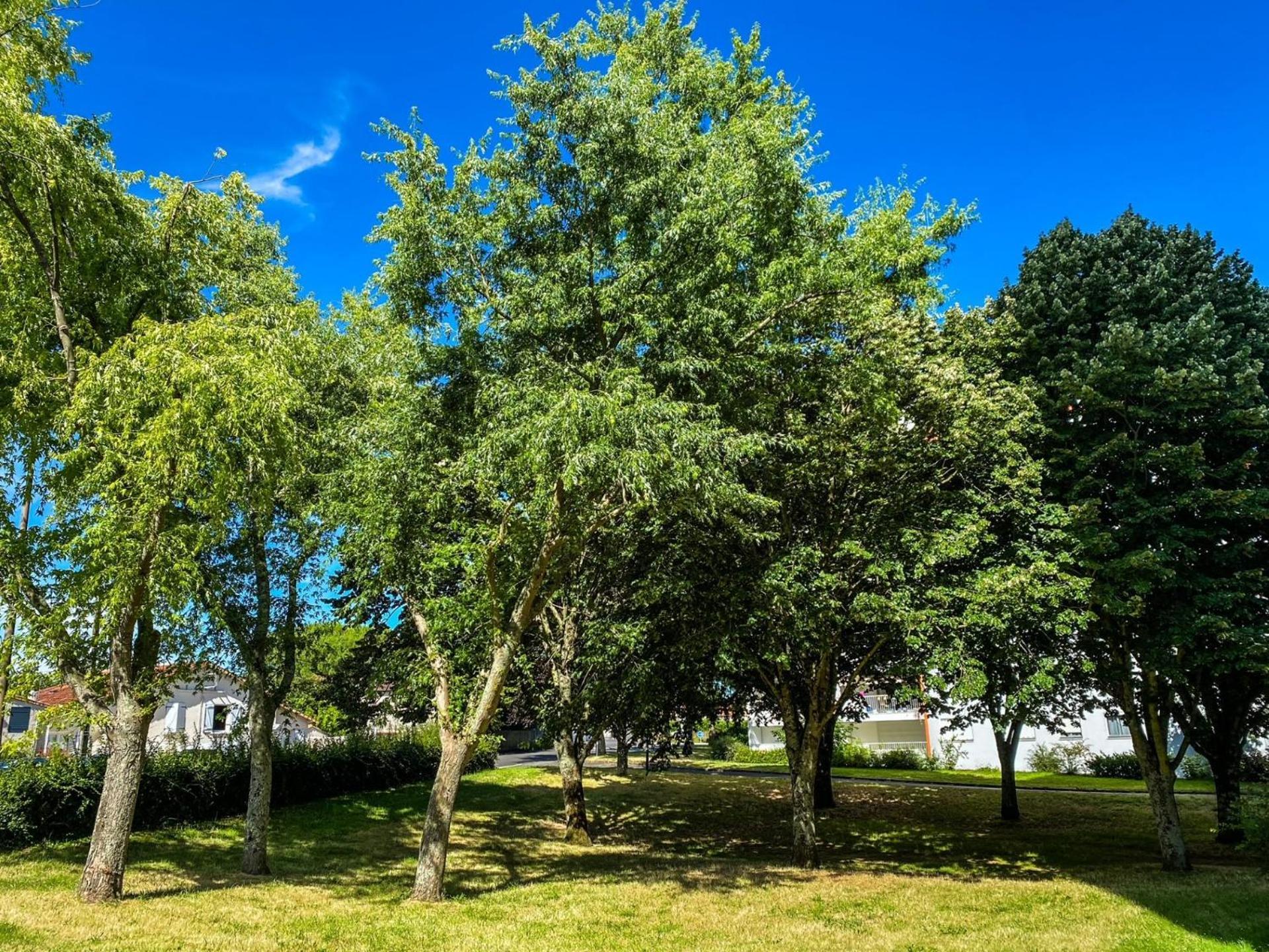 T3 Moderne Avec Balcon Terrasse Et Parking Gratuit Daire Niort Dış mekan fotoğraf